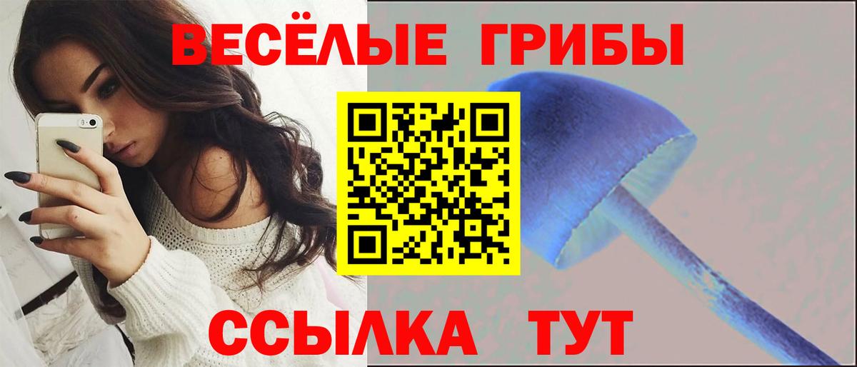 Псилоцибиновые грибы Cubensis Белебей